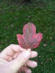 20151114_104655.jpg