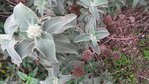 download_20151221_110426.jpeg
