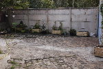 DSC_6569.JPG