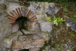 point d'eau créé l'été dernier