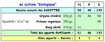 Carottes - Minéraux sans compost en bio.JPG