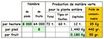 artichauts - la production de végétation..JPG