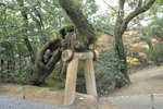 6 soutien_026 - copie.jpg