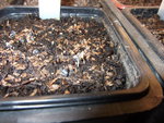 DSCF2277.jpg