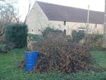 pied femelle seul