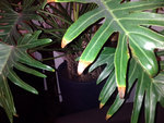IMG_20160107_202719.jpg