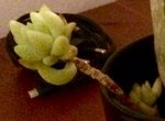 151204_IMG_00082.jpg