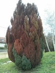IMG_20160116_1613332.jpg