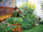 DSCN0335cabane.JPG