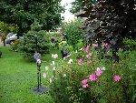 DSCN11568.JPG