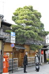 atre inclusion001 - copie.JPG