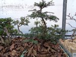 DSC01670.JPG