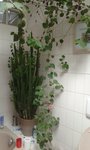 20160130_135737 - copie.jpg