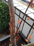 2016-01-31 12.19.22 (min).jpg