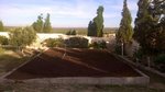 WP_20160121_006.jpg
