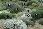 bordure.jpg