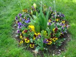 DSC03704.JPG