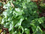 20160210_131158.jpg