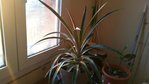 rps20160211_180708.jpg
