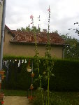 DSC00079.JPG