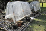 serre tomates-6.JPG
