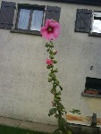 DSC00080.JPG
