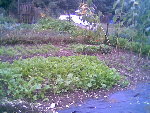Photo010.jpg