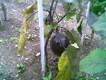 Photo012.jpg