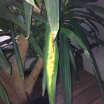 IMG_2347.jpg