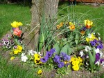 DSC03706.JPG