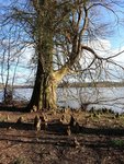 20160215_155518.jpg