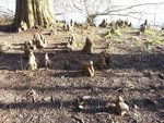 20160215_155528.jpg