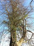 20160215_155539.jpg