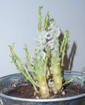 DSCN2689.JPG
