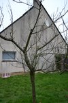 DSC_0004.JPG