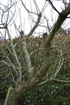 DSC_0003.JPG