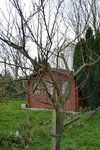 DSC_0001.JPG