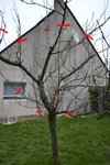 vue 4.jpg