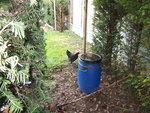 DSCF2309.jpg