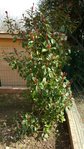 rps20160226_124102.jpg