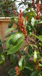 rps20160226_124128.jpg
