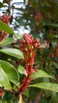 rps20160226_124147.jpg