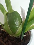 20160226_141813.jpeg