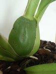 20160226_141839.jpeg