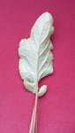 20160226_112333.jpg