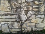 20160205_165525.jpg