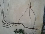 20160205_174528.jpg