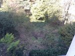 Voici une photo du jardin, depuis j'ai enlevé tous les arbrisseaux dans le centre et quelques fougères qui trainaient..