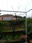 P1100304_2.JPG