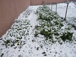 IMG_0215.JPG